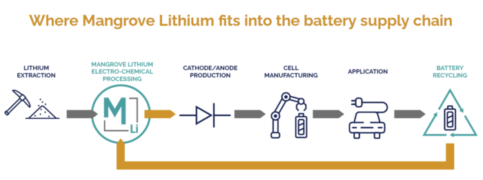 mangrove lithium.png
